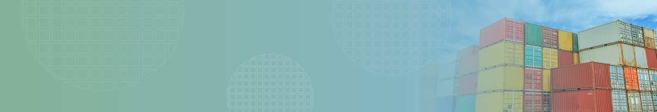 Freight Forwarder Errors Omissions